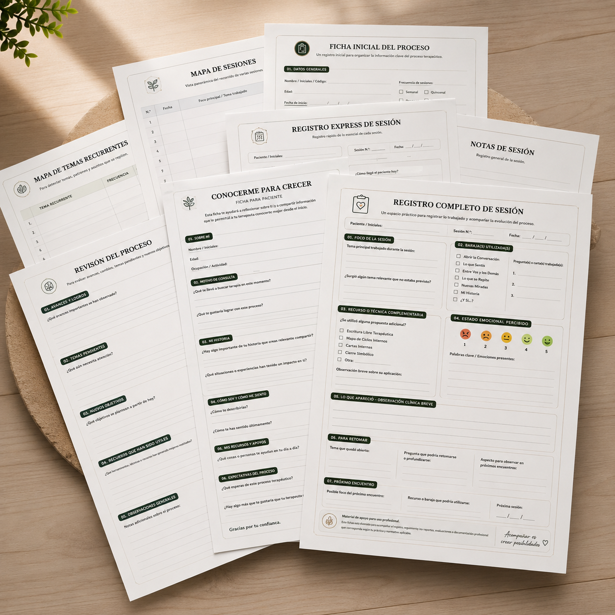📋 Pack de Seguimiento Terapéutico